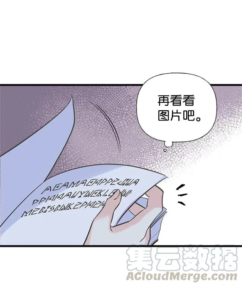 14 皇家骑士团 第37页