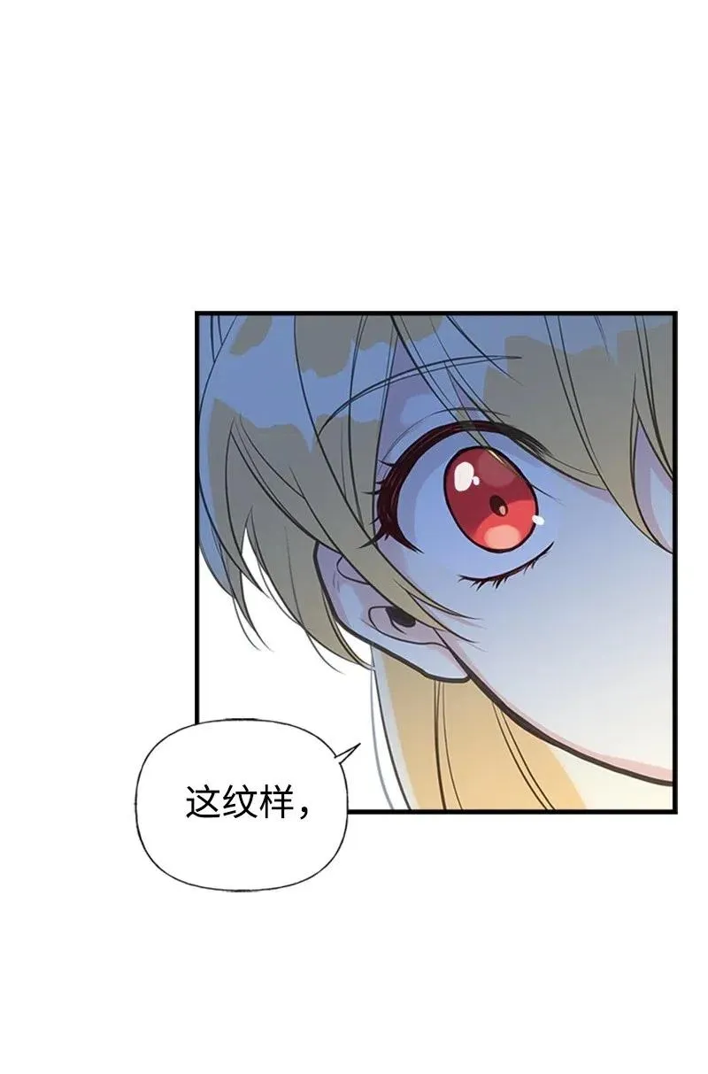 14 皇家骑士团 第38页