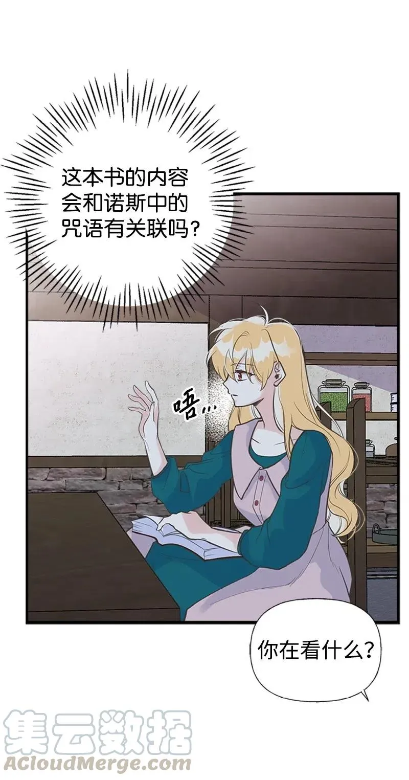 14 皇家骑士团 第43页