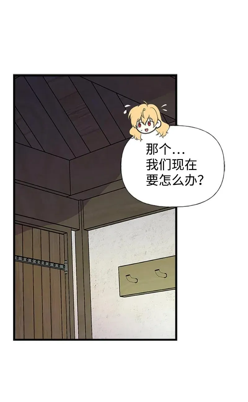 17 得到许可 第35页