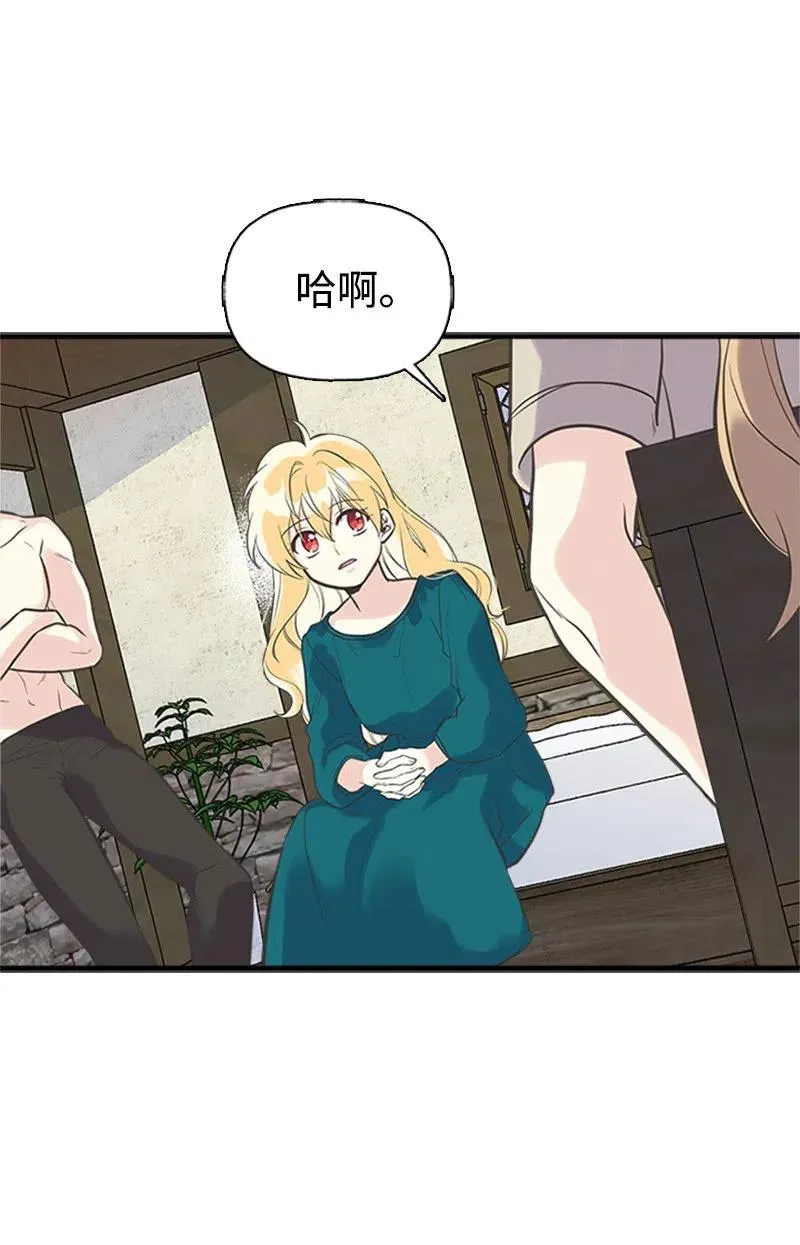 17 得到许可 第36页