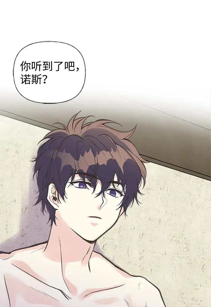 17 得到许可 第42页