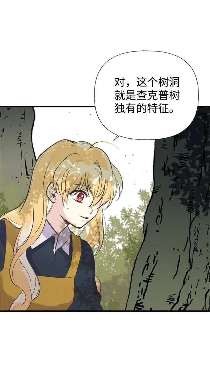 23 不要离开我 第12页