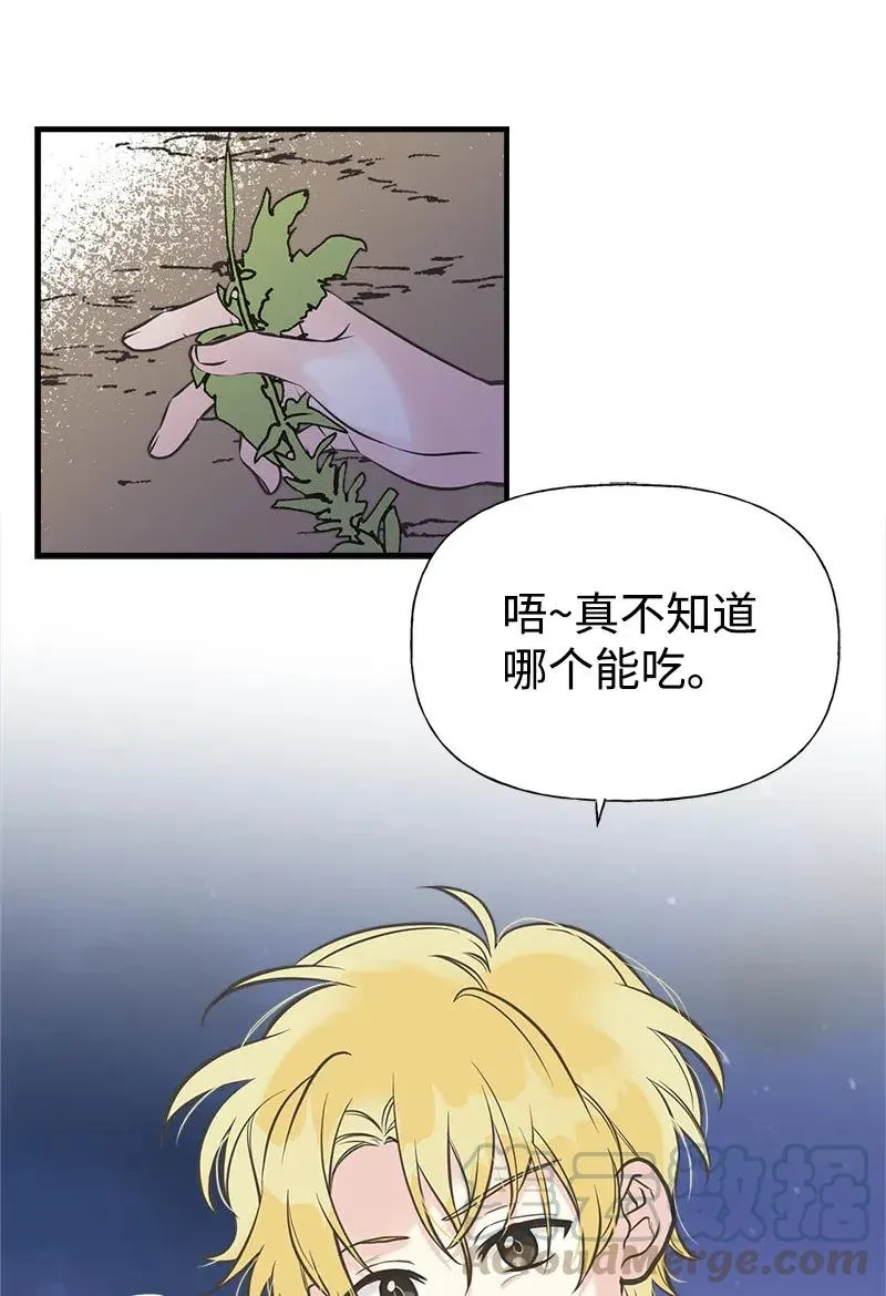 31 逃跑被抓 第46页