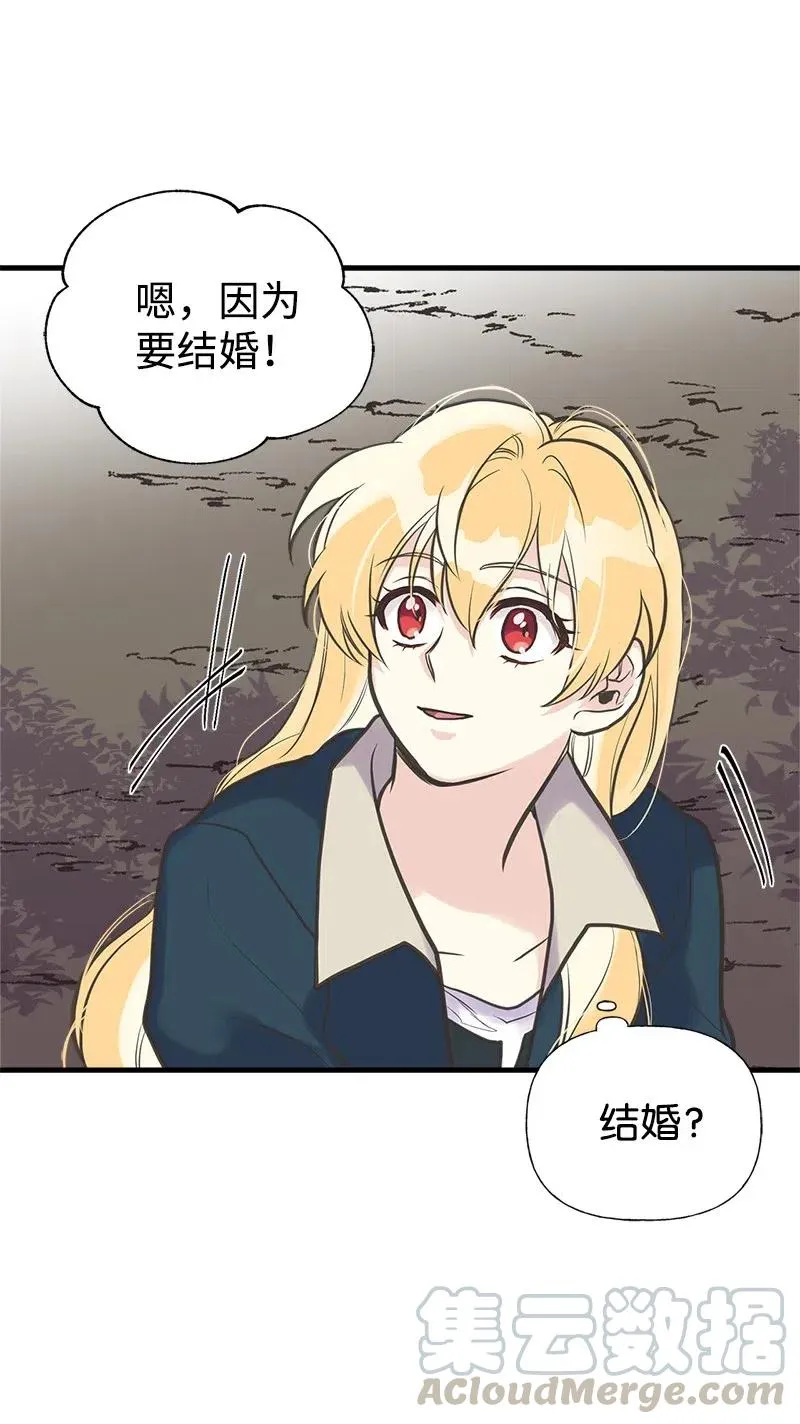 31 逃跑被抓 第61页