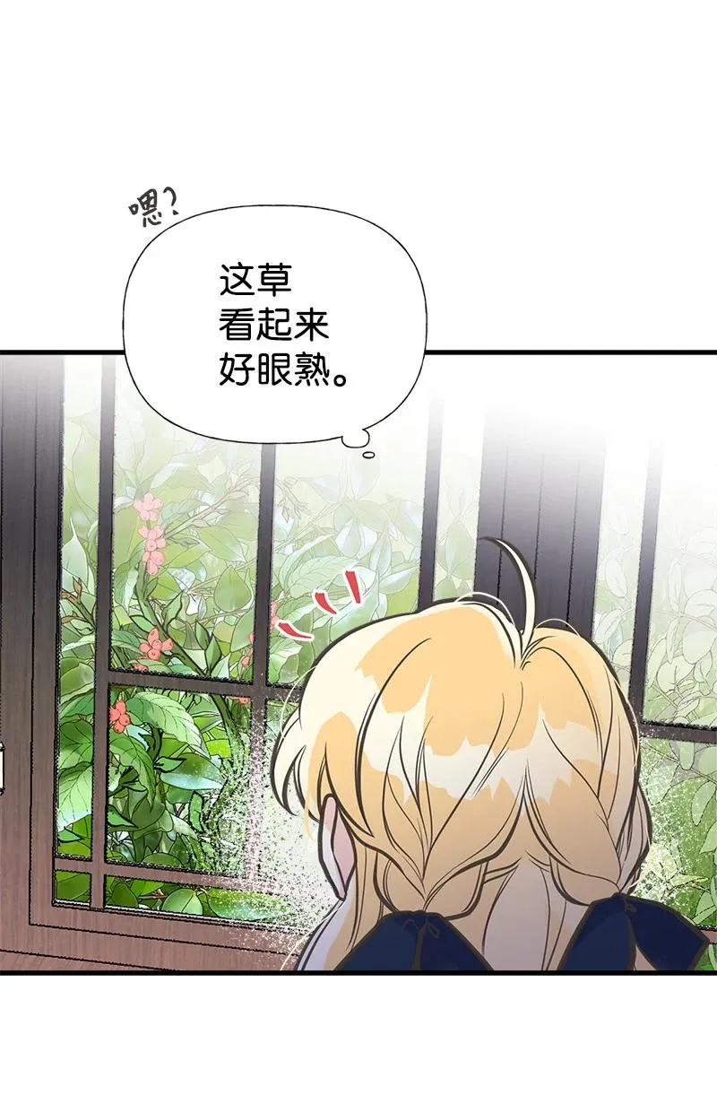 36 奇怪的镜子 第36页