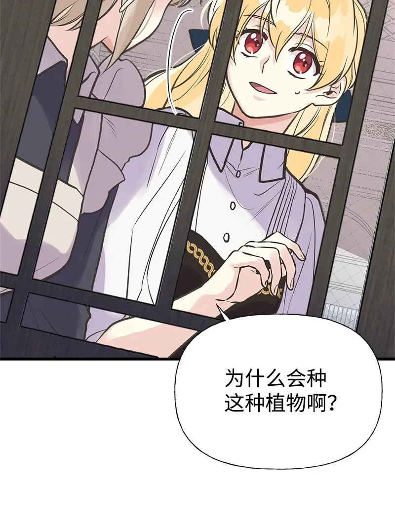 36 奇怪的镜子 第39页