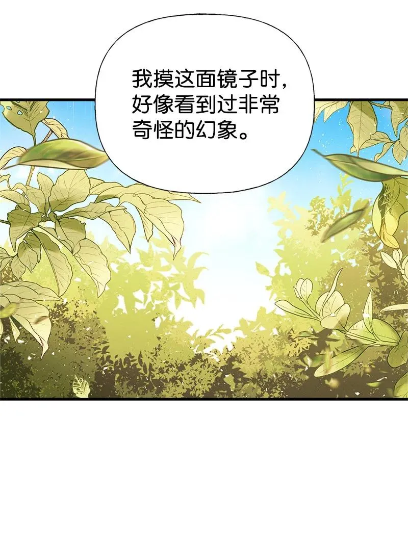 36 奇怪的镜子 第66页