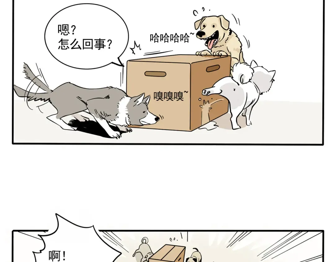 第149话 万岁的秘密基地 第5页