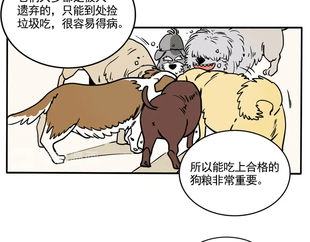 第149话 万岁的秘密基地 第12页