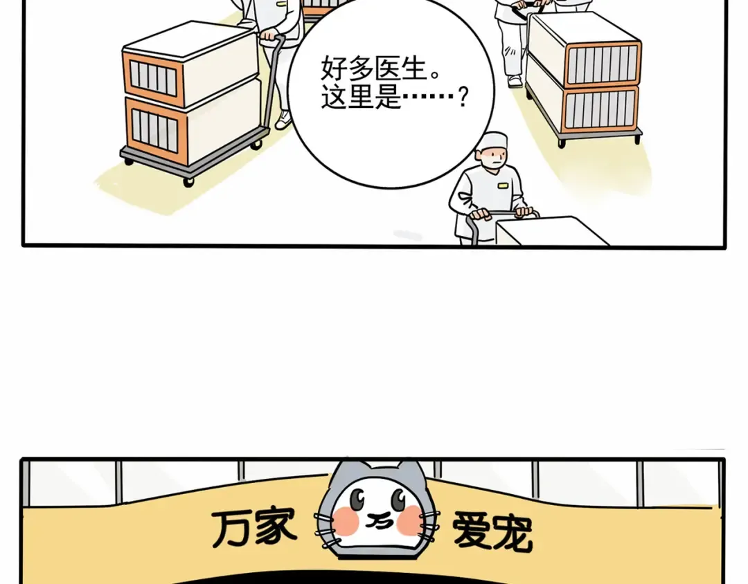 第151话 反转的万幸 第6页