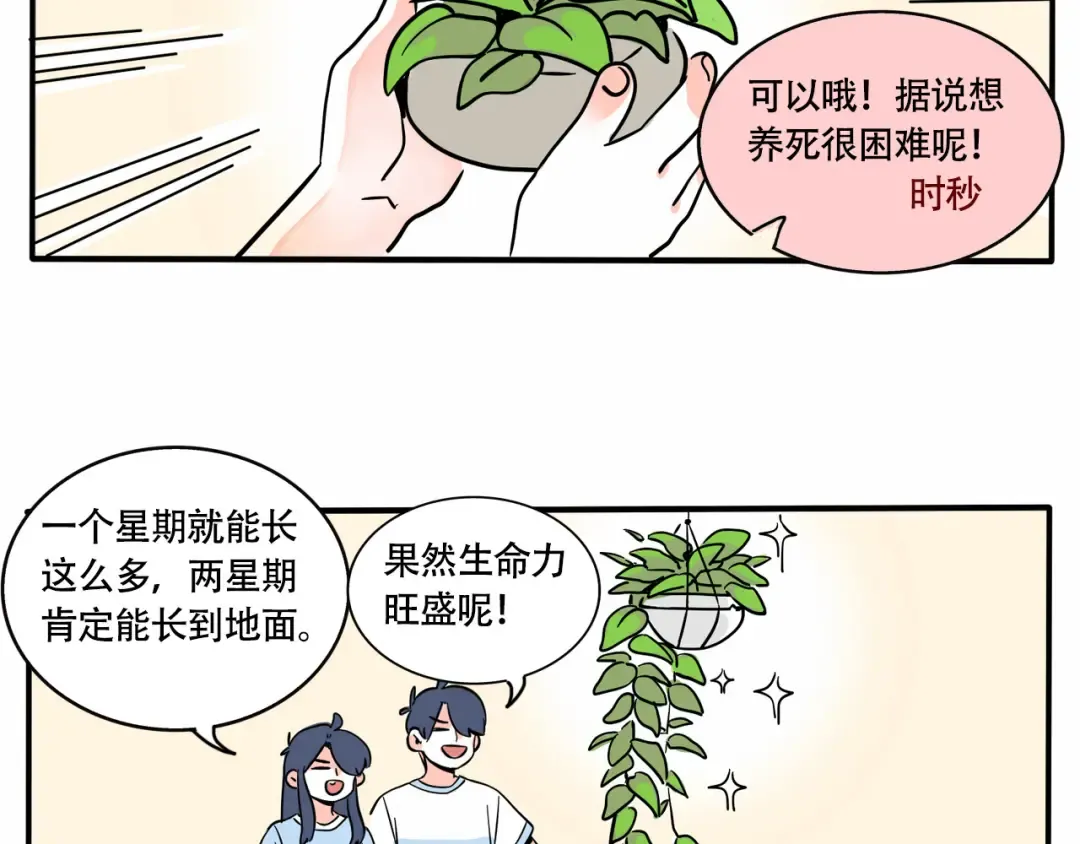 第232话：养植物 第6页