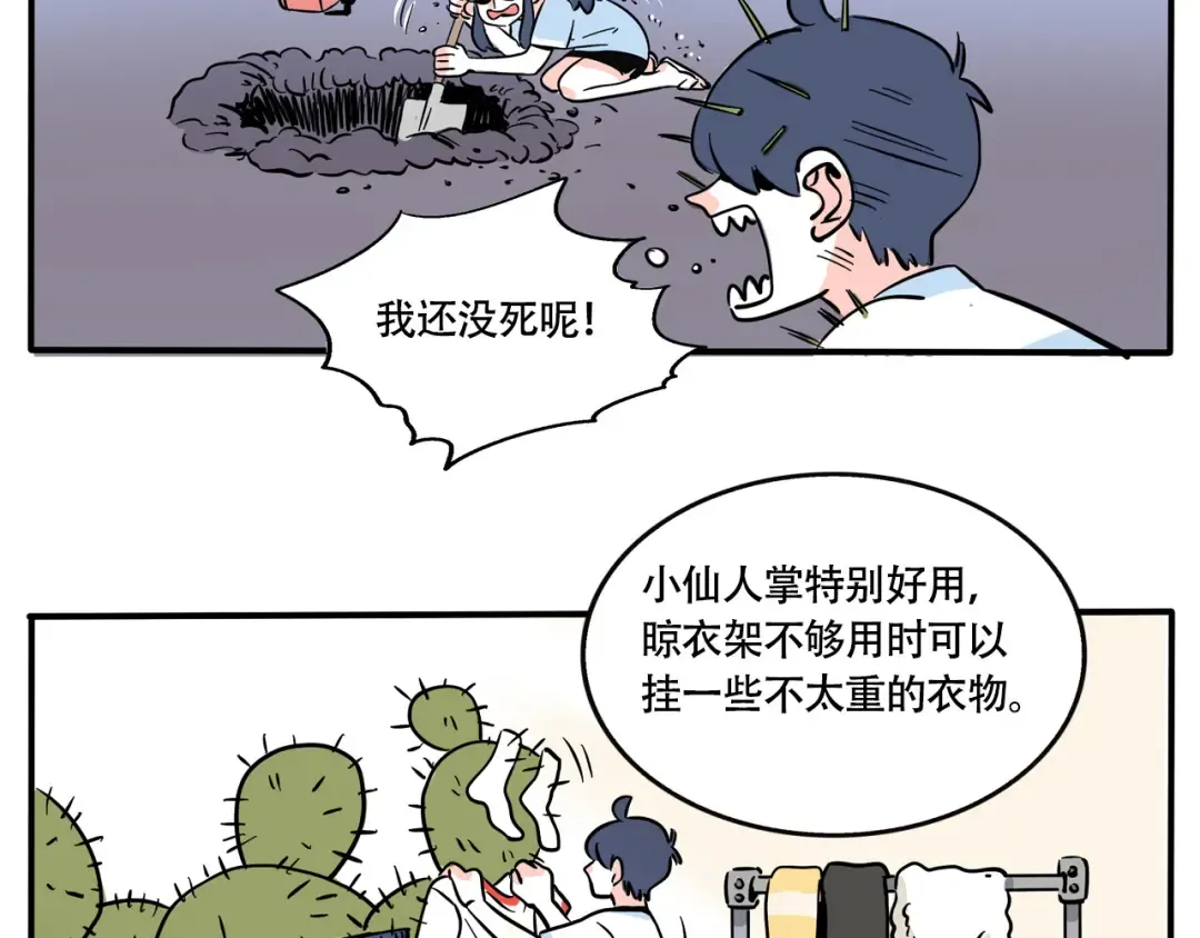第233话：顽强的仙人掌 第5页