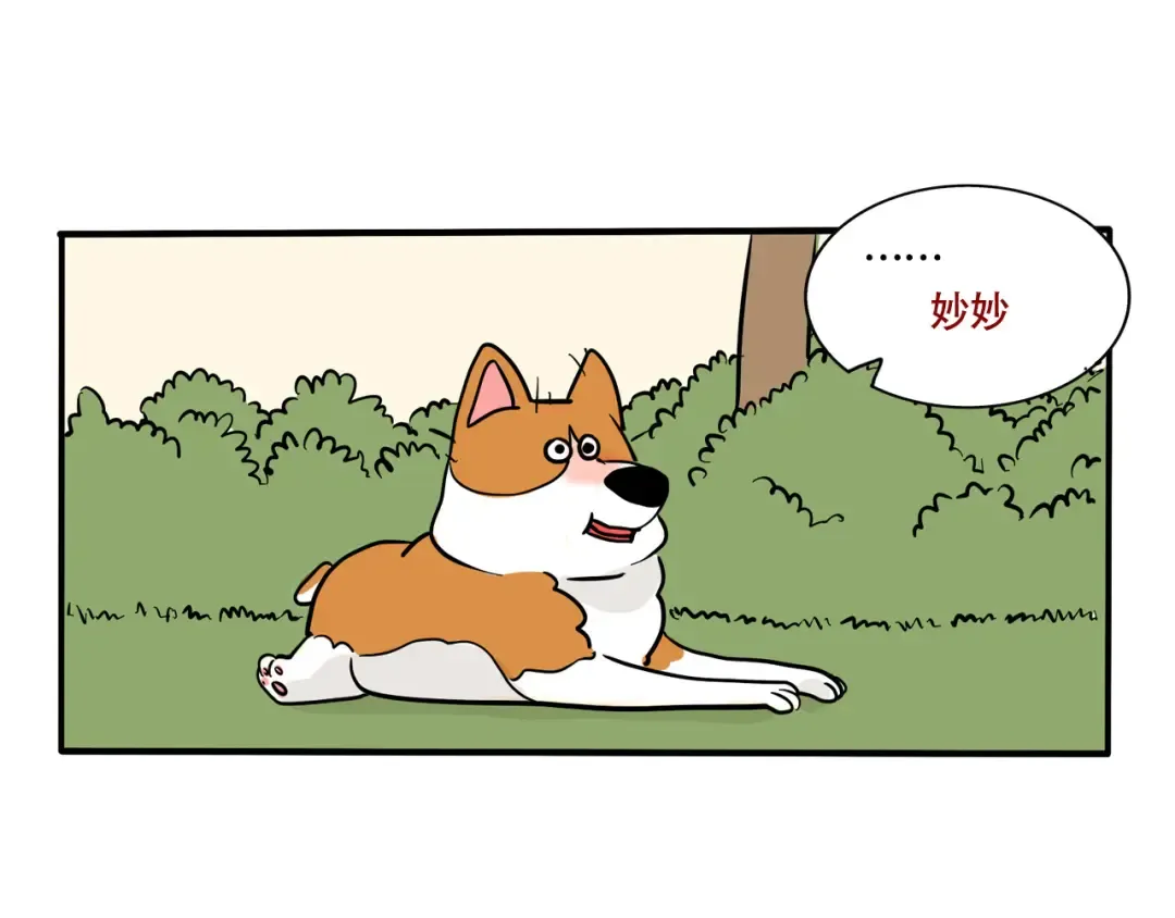 第236话：董事长的凝视 第2页