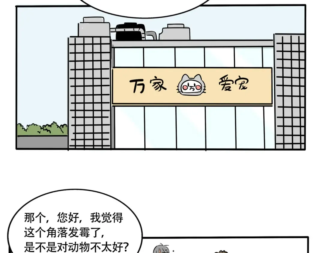 第236话：董事长的凝视 第4页