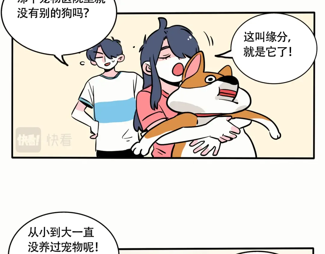 第239话：狗狗社交 第6页