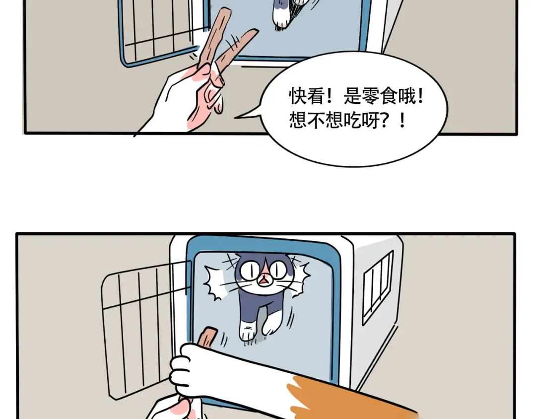 第245话：家里来了新客人 第8页