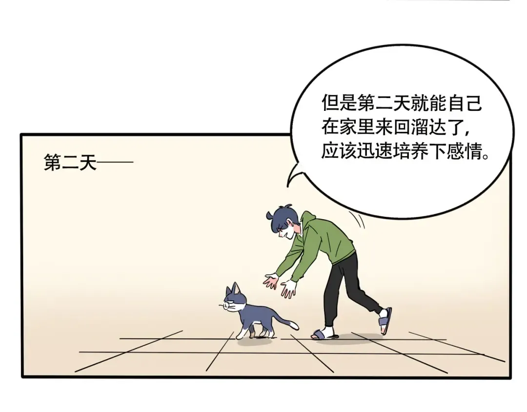 第245话：家里来了新客人 第11页