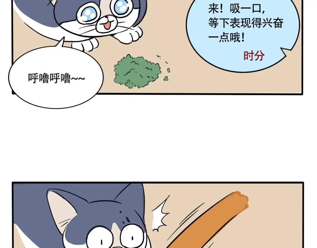第246话:家里来了新客人（下） 第5页