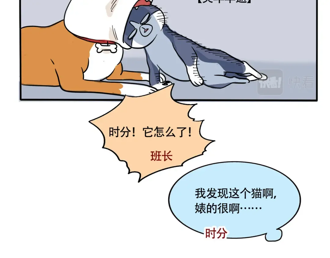 第246话:家里来了新客人（下） 第11页