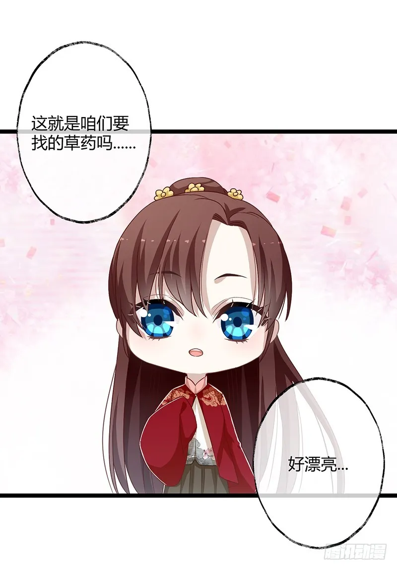第二季058 采药 第29页