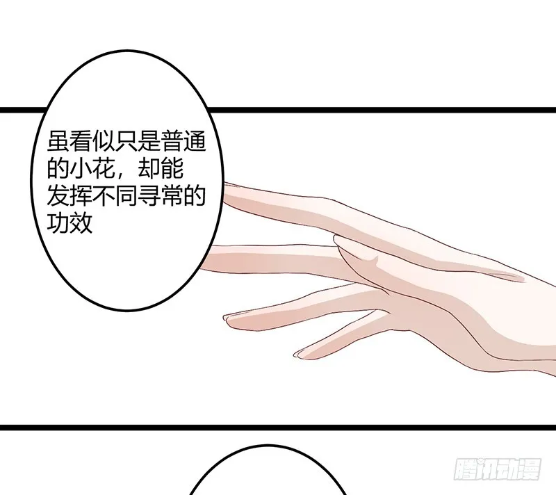 第二季058 采药 第31页