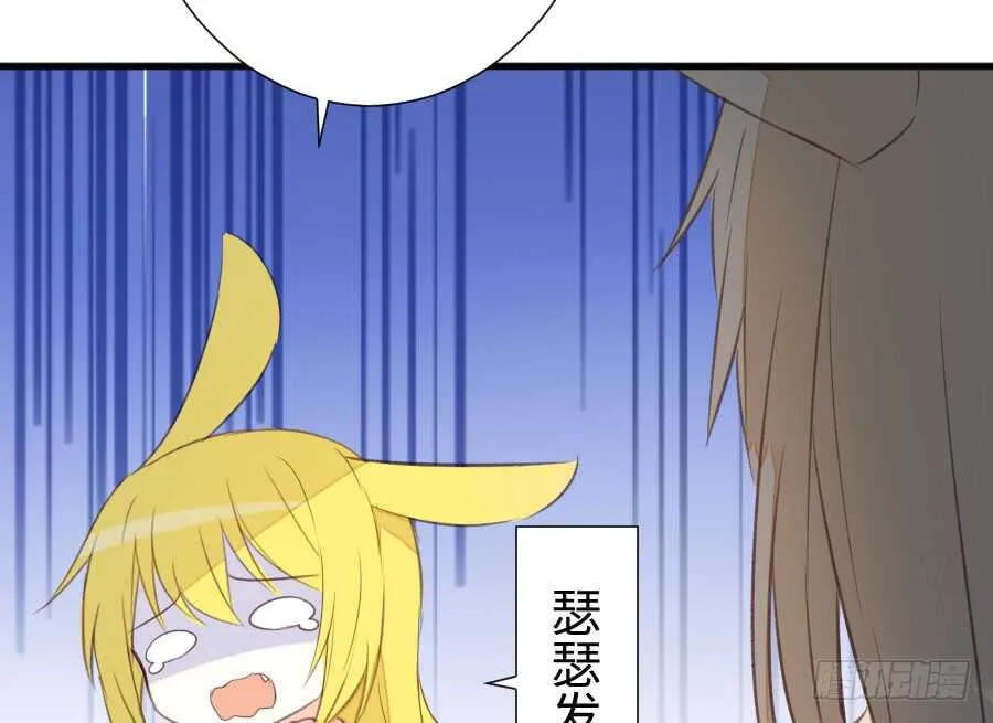 血族与人类 第66页
