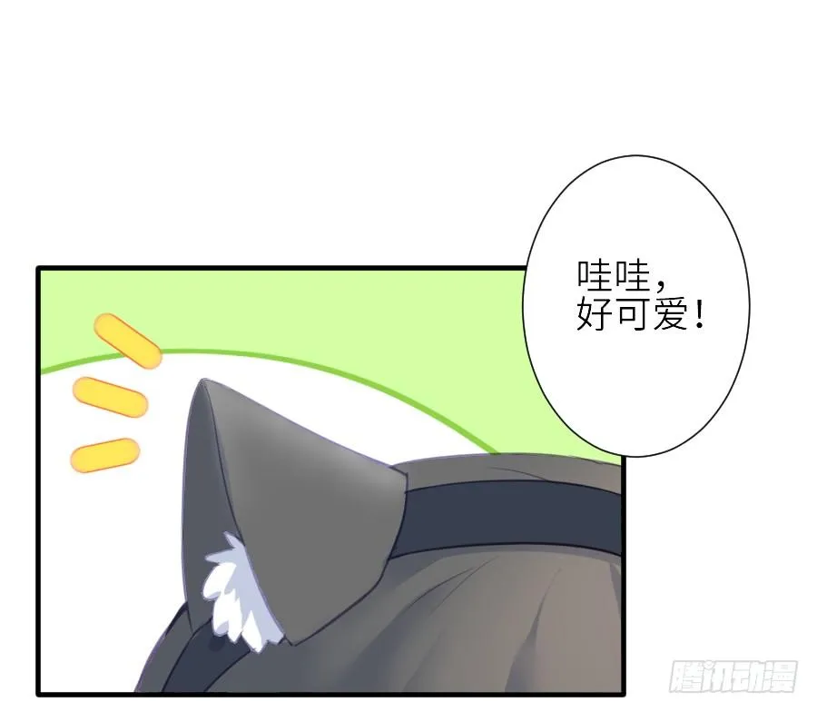 相杀不相爱 第47页
