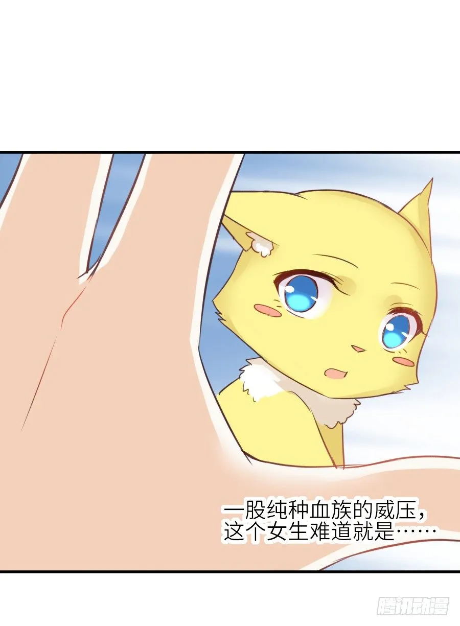 哥哥养你一辈子 第20页