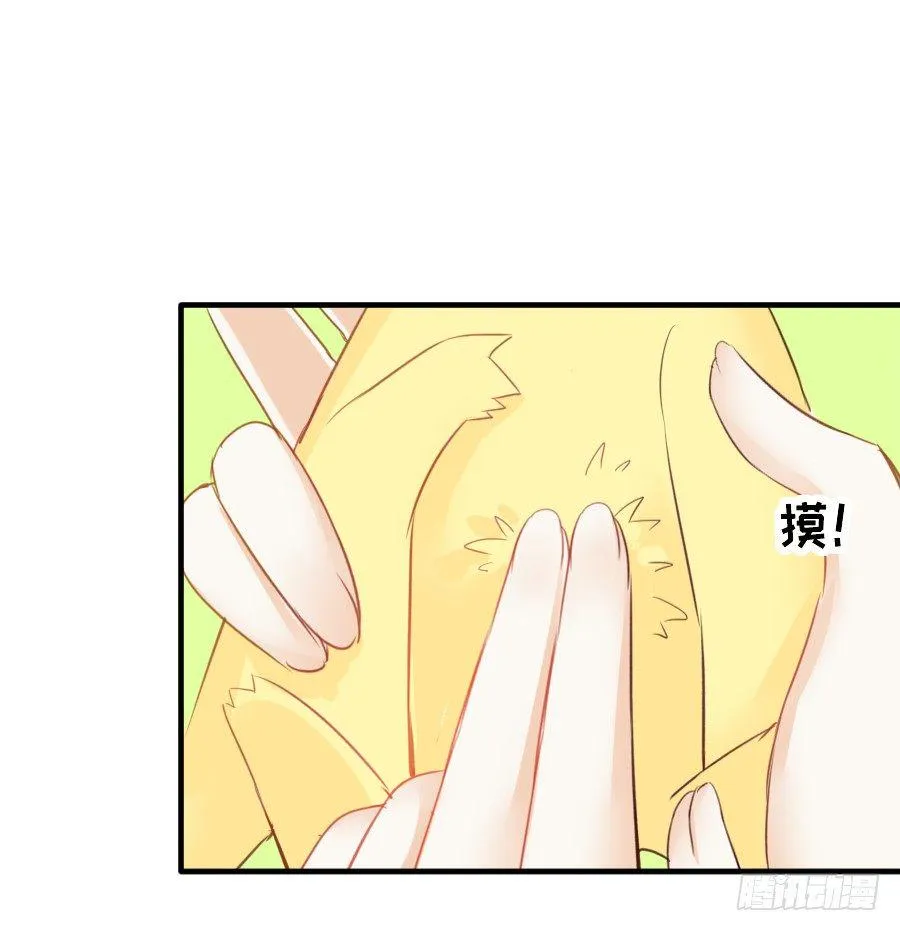 全果变身真是太糟心！ 第14页