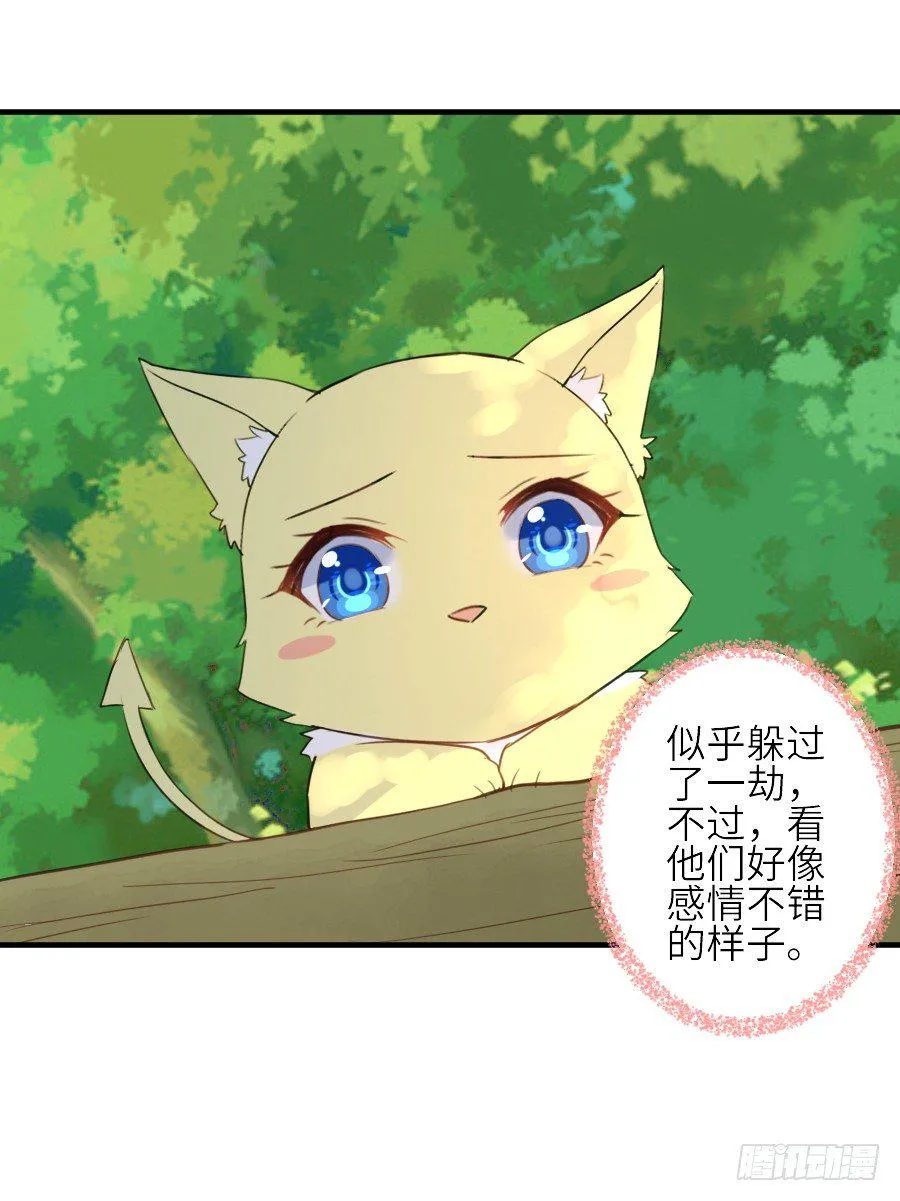 男主就应该有不输于女主的桃花 第42页