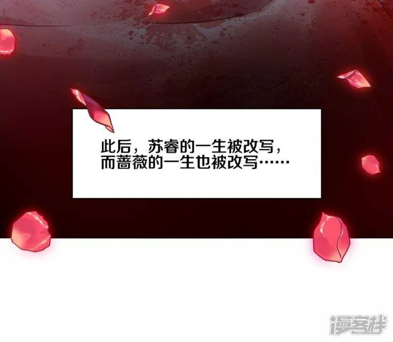 181 我选择做麻雀 第28页