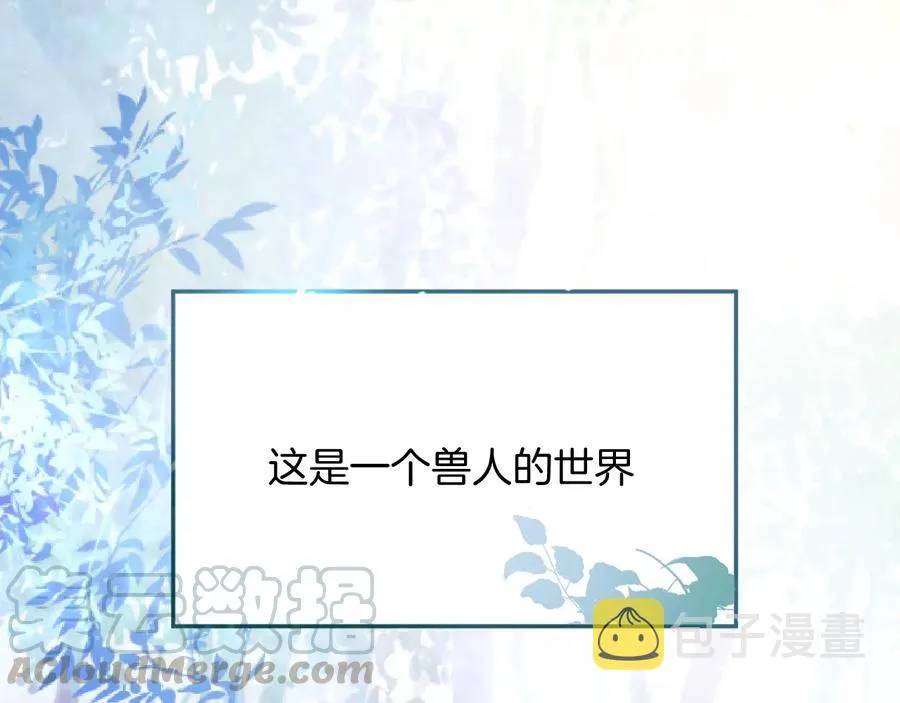 番外篇  第5页