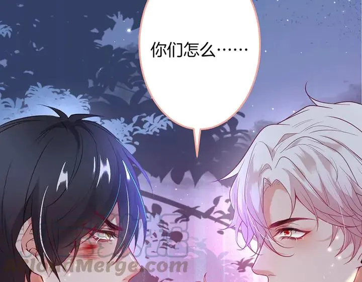 第82话 是个王子 第17页