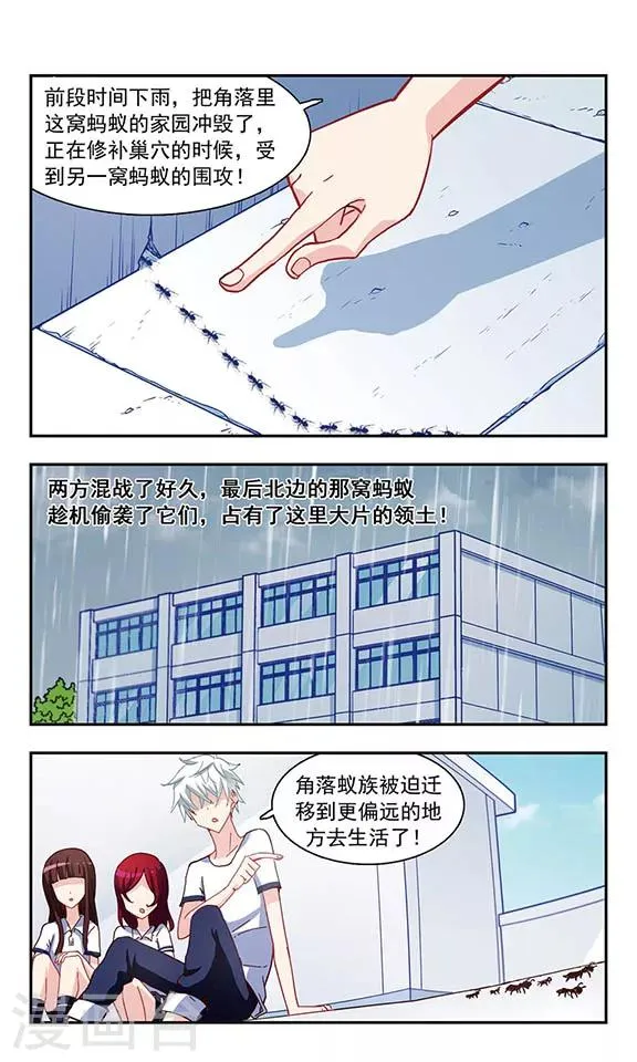 第21话 楼顶聚会 第14页