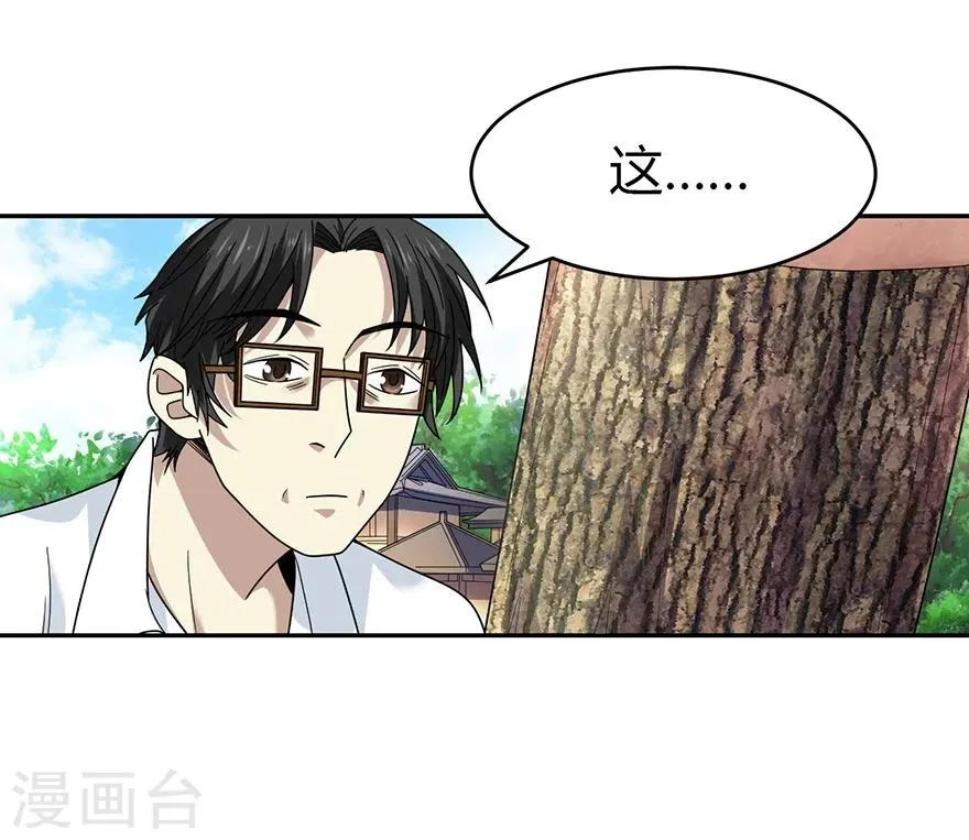 第48话 赌树2 第38页