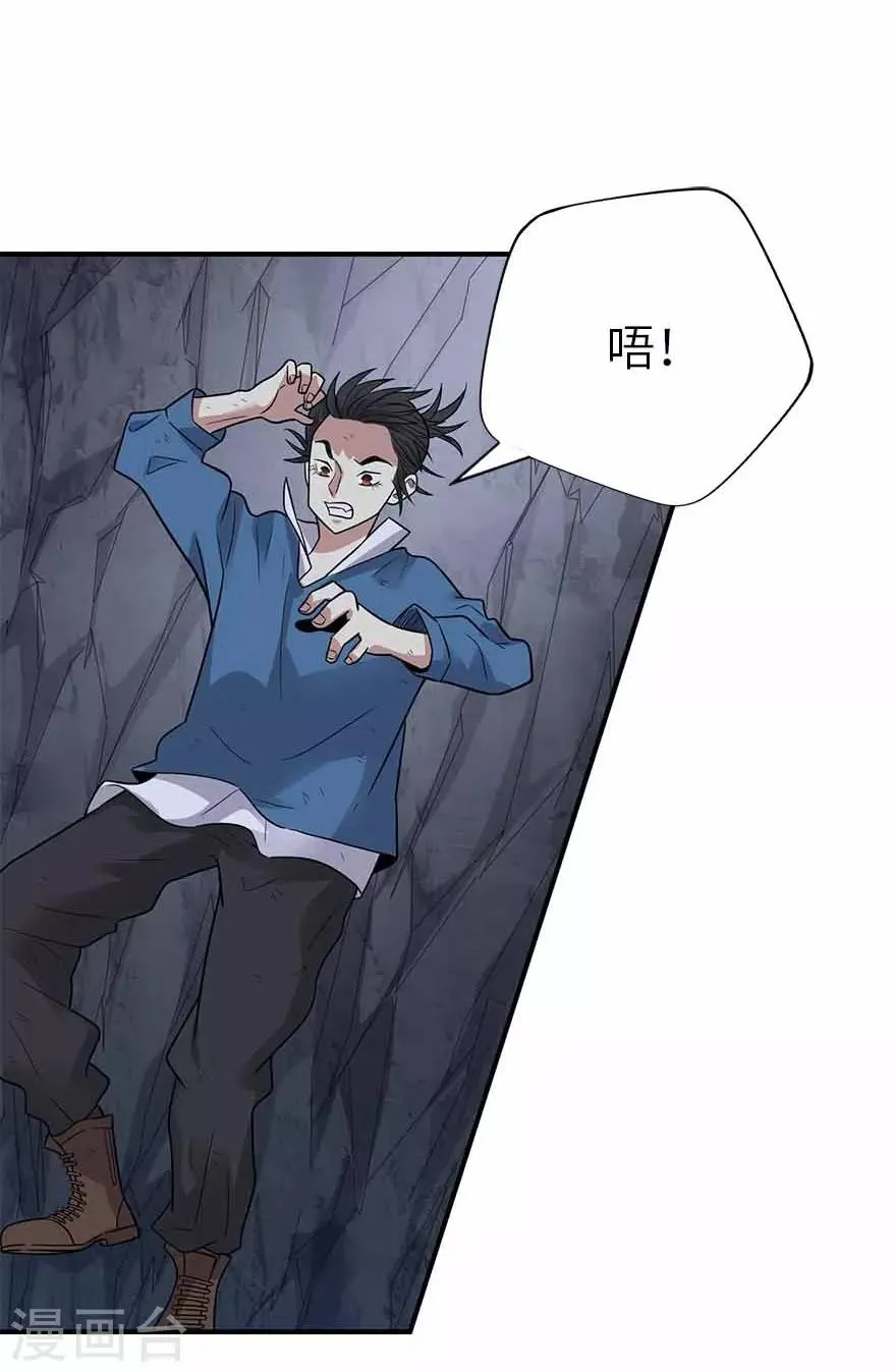 第117话 天上掉下个魏胖子 第37页