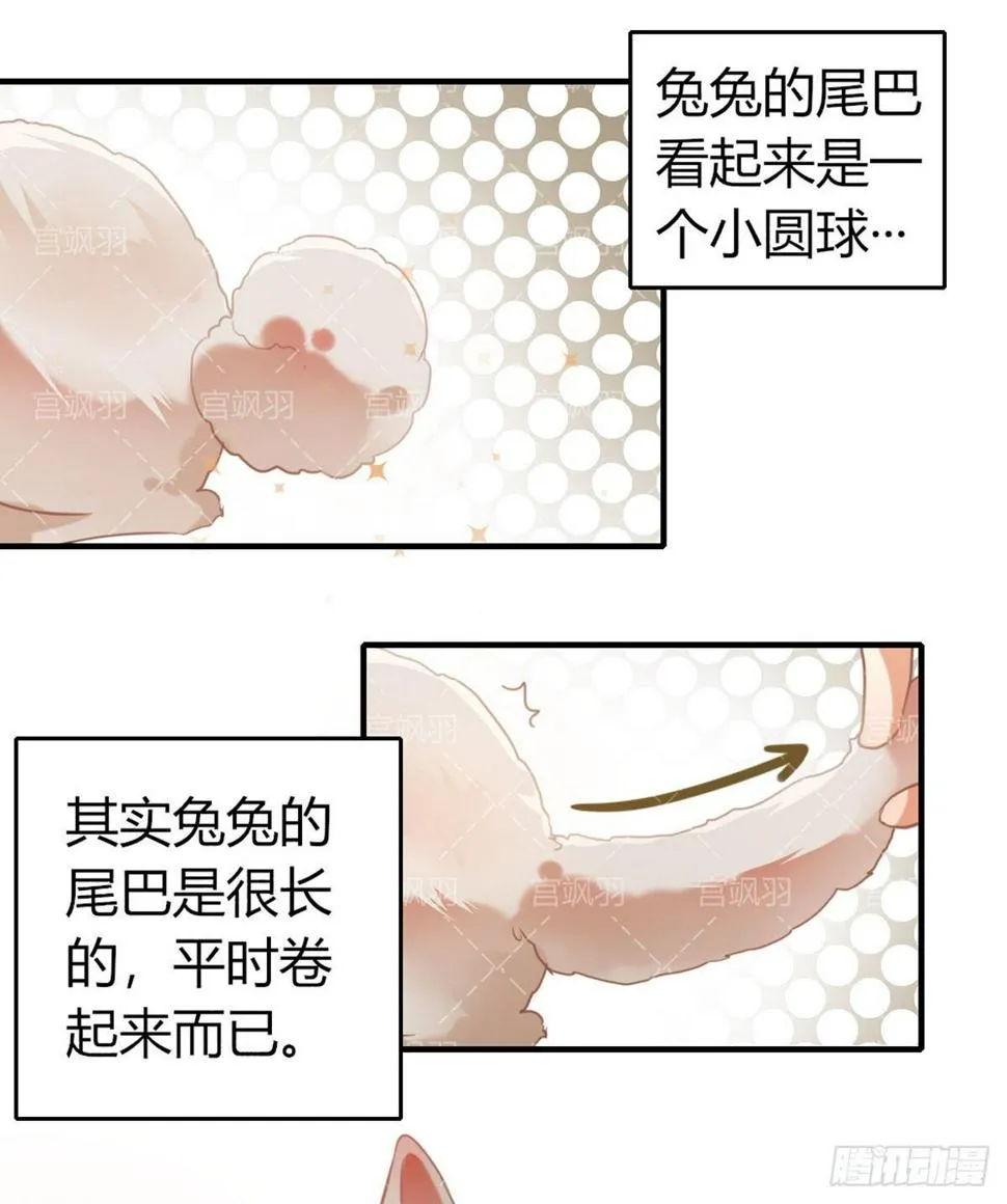 兔兔星饲养指南5 第4页