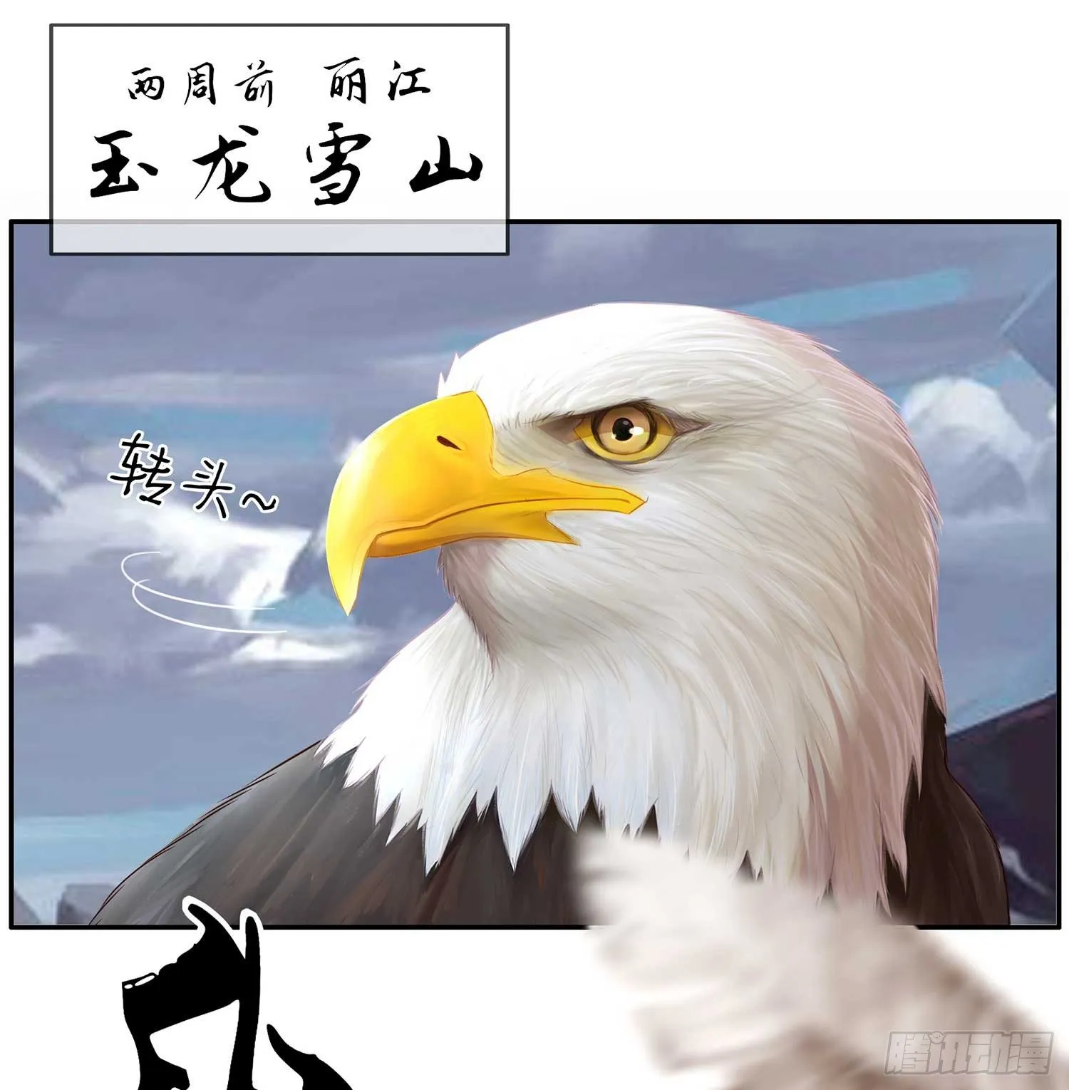 愿望实现了？ 第13页
