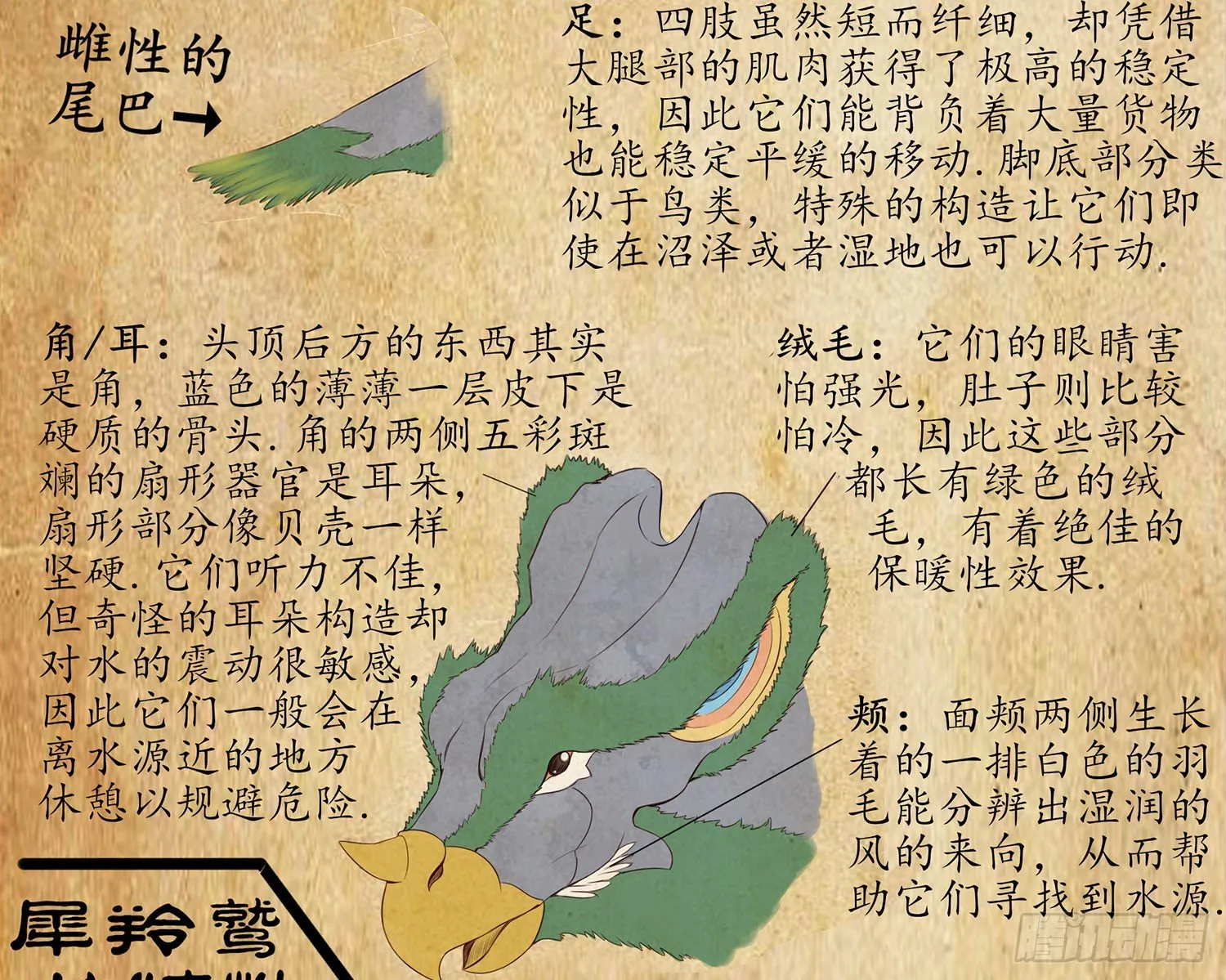 是菩萨本人了！ 第49页