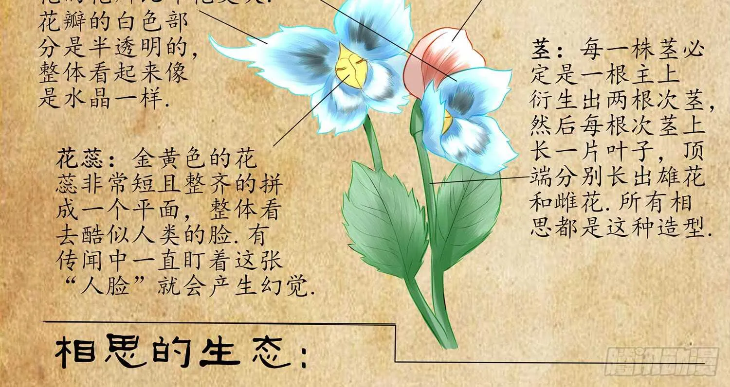 星与约定 第126页