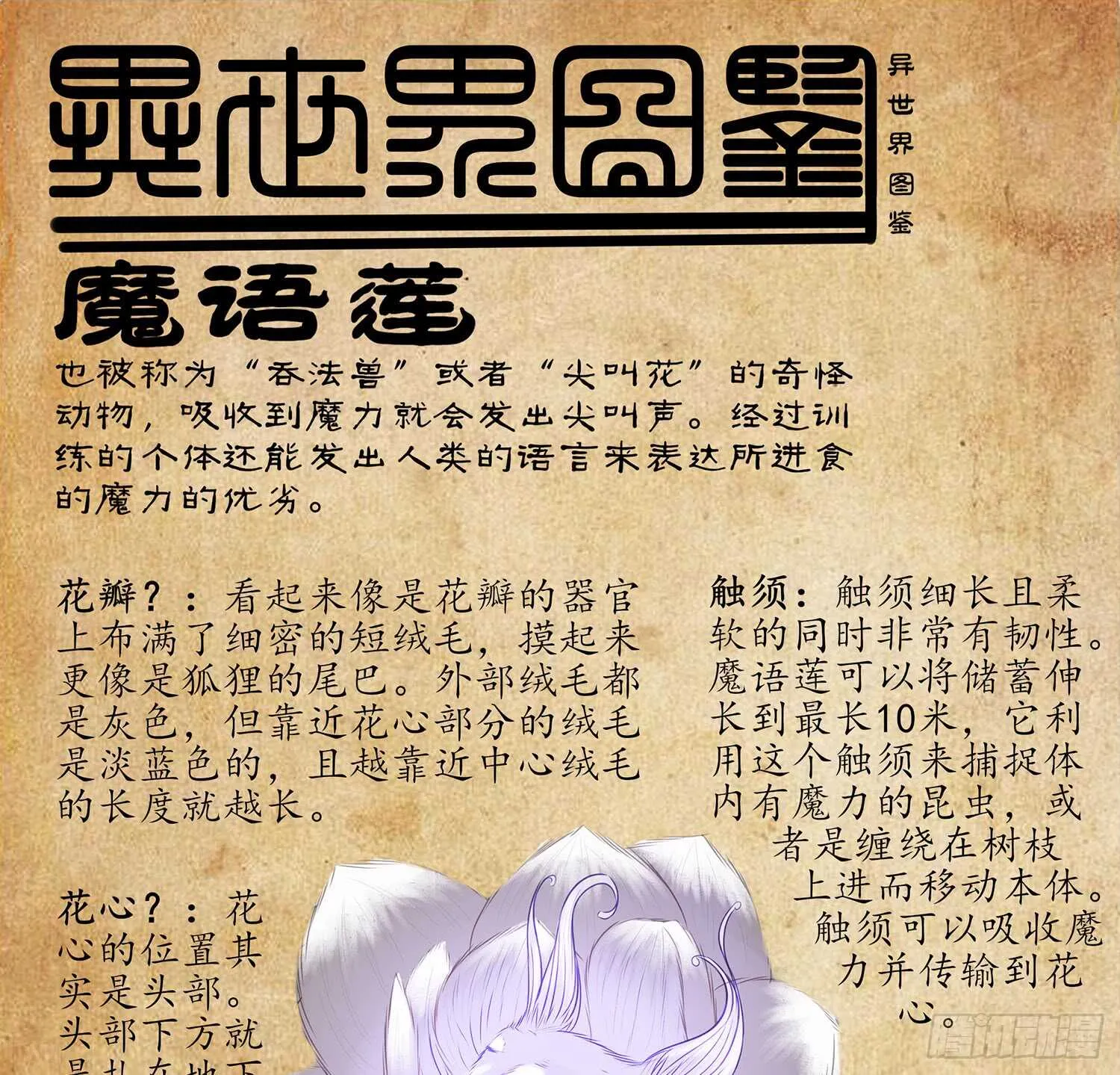 魔力测定 第81页