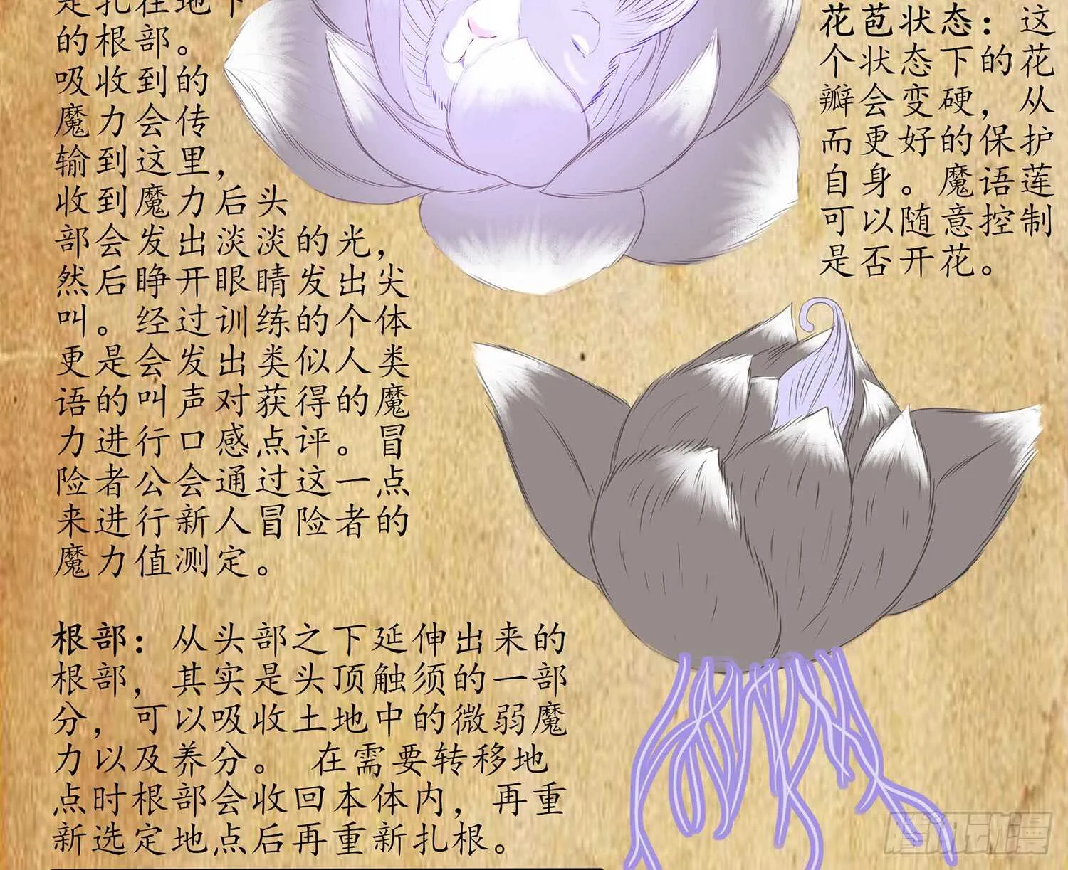 魔力测定 第82页