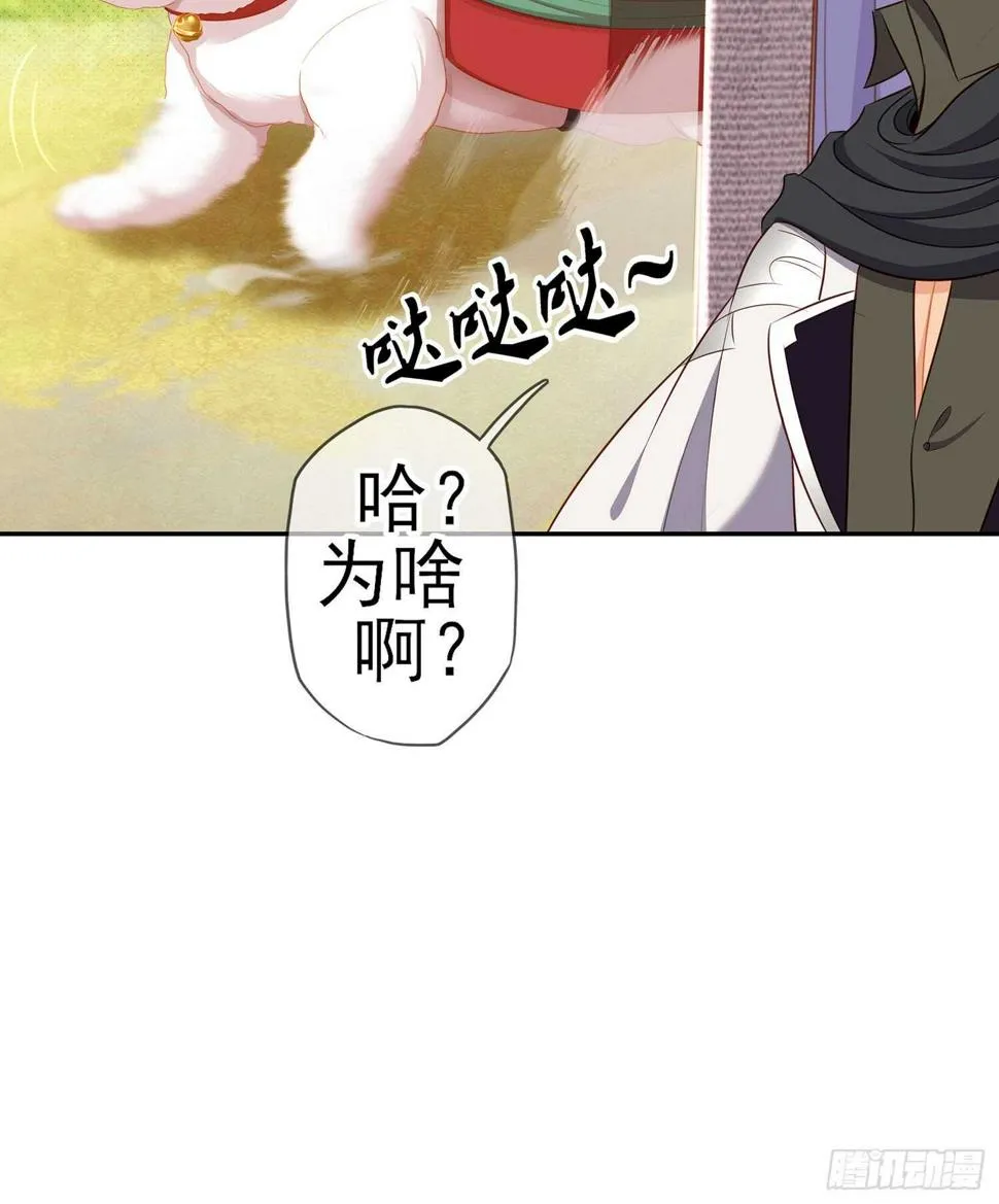 剑门关 第18页