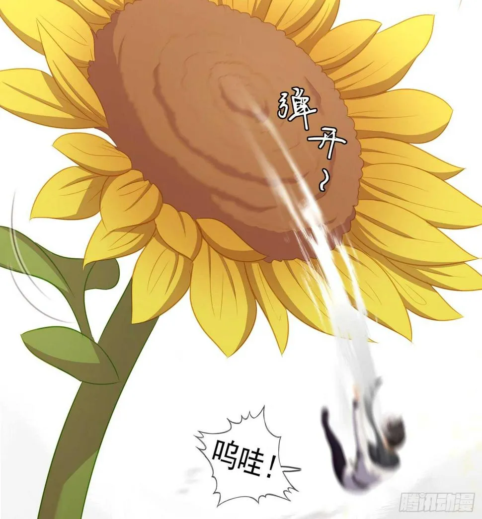神明的褒奖 第41页