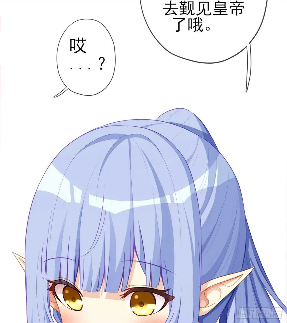 塔尔戈牌 第81页