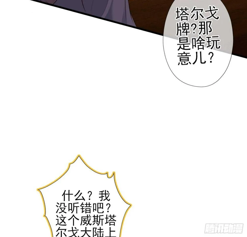 塔尔戈牌 第88页