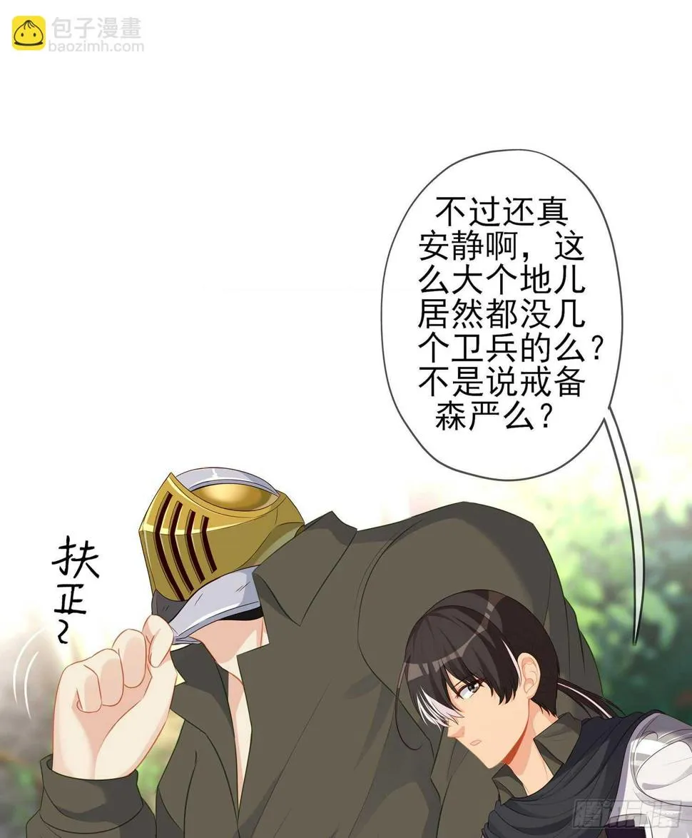 潜入王宫 第51页