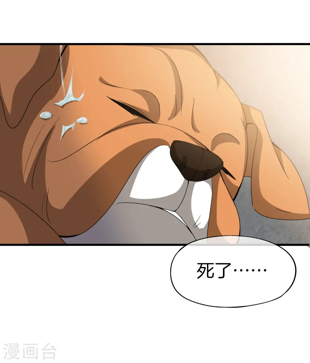 第20话 天下太平黑无常！ 第14页