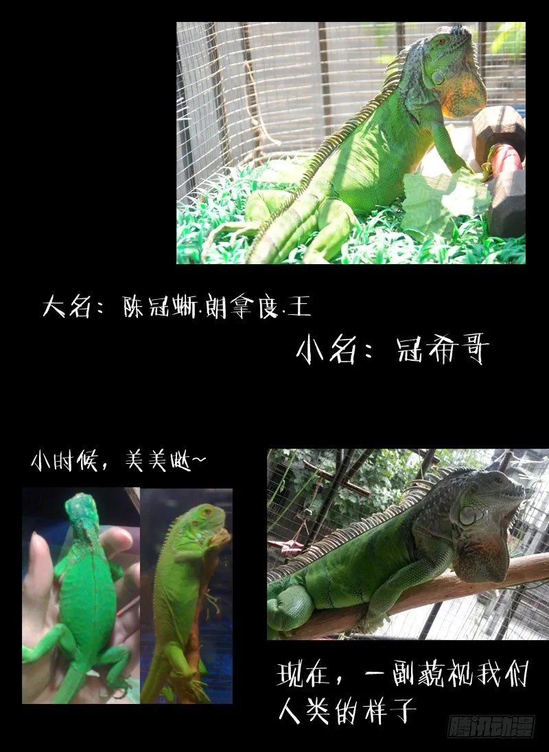 4.白慧真身 第13页